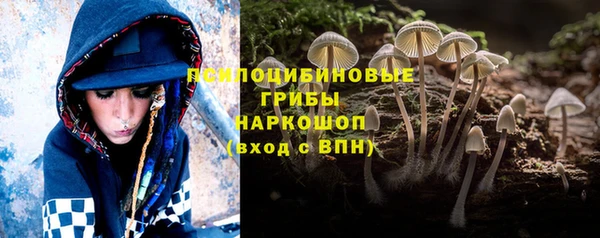 mdpv Краснослободск