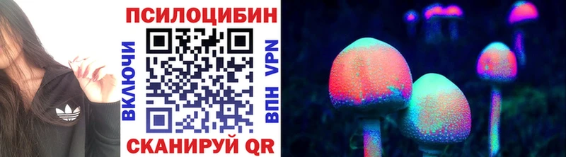 Галлюциногенные грибы Cubensis  Купить  Поворино 